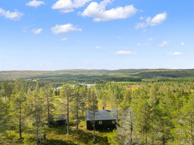 Welcome to Nord-Vera 21 - a beautiful family cabin in a fantastic mountain area and hiking terrain.