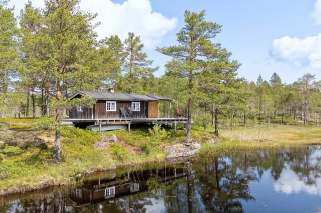 Charming cabin in scenic surroundings by Åltjønnin