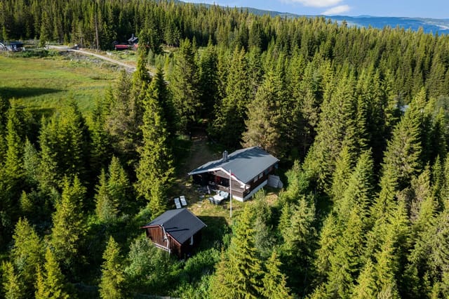 Welcome to Nedrestølvegen 57. A very cozy cabin with a beautiful and secluded location