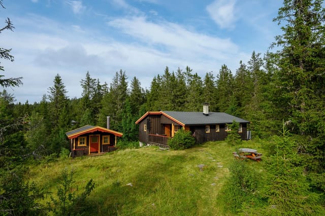 Welcome to Sjøsetervegen 15 - a holiday home with annex in idyllic surroundings with views towards Sjøsetervannet and Skeikampen.
