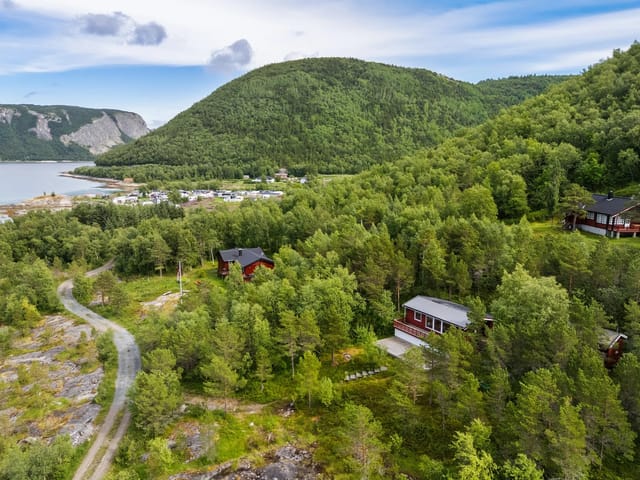 Welcome to Åseliveien 55