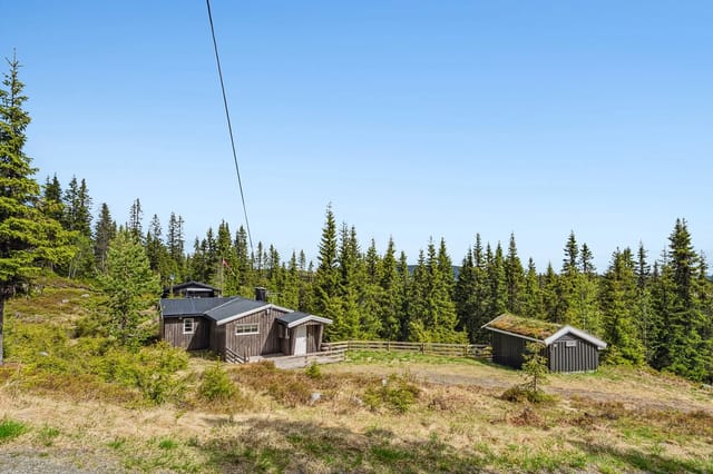 Cozy cabin in peaceful natural surroundings at Slåtten, Synnfjell