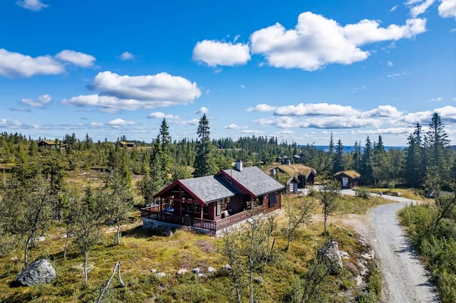 PrivatMegleren Hallingdal presents Djupedalssetervegen 162