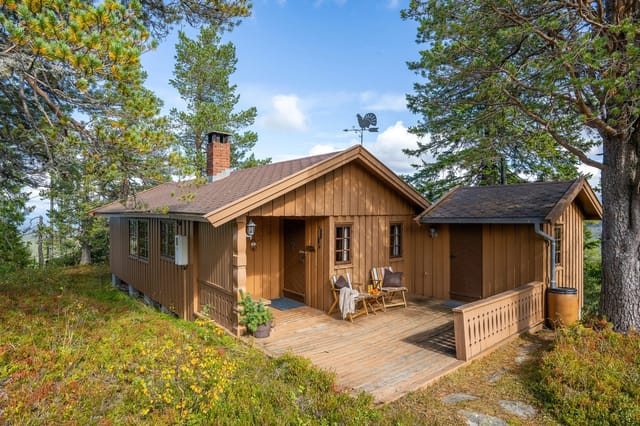 Front view of the cabin at Nipetovegen 127