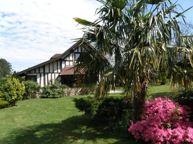 Picture 1