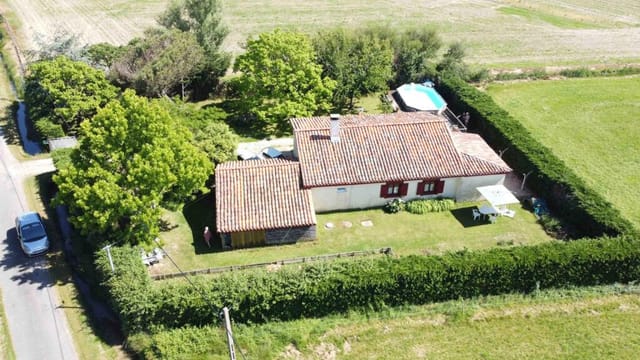 Picture 1