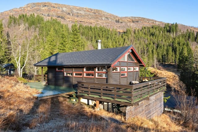 Front view of the cabin at Dalen 164