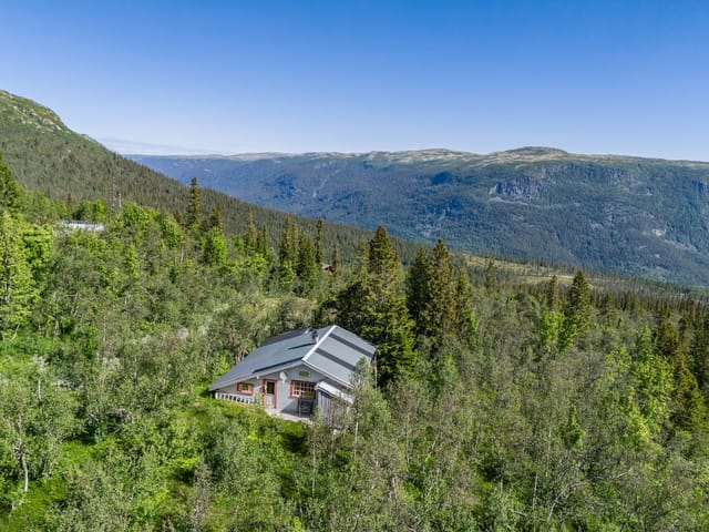 Welcome to Imingfjellvegen 590! (Photo: Terje Bjørnsen)