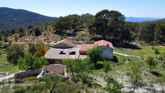 Photo 1 of Finca Petrer