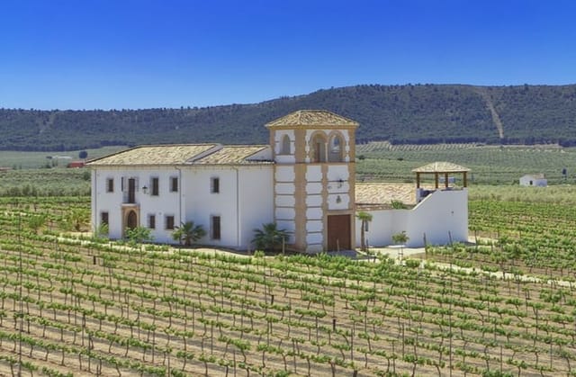Main view of Parcela 57 estate
