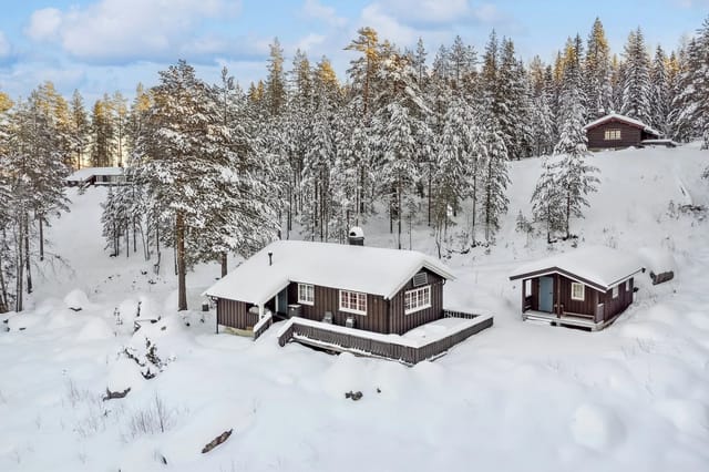 Eiendomsmegler Torfinn Holen har gleden av å presentere Langvasslie 140!