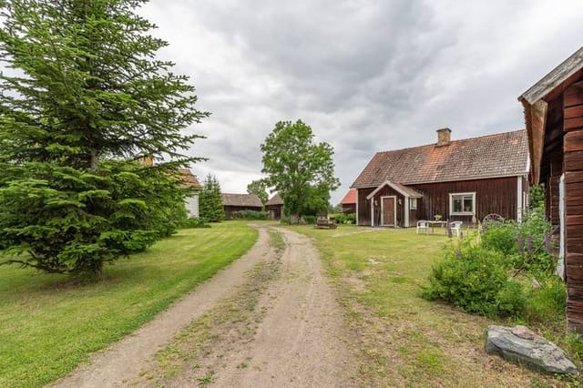 Main house and yard