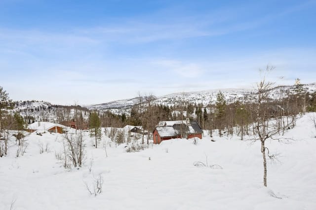 Exterior view of the cabin