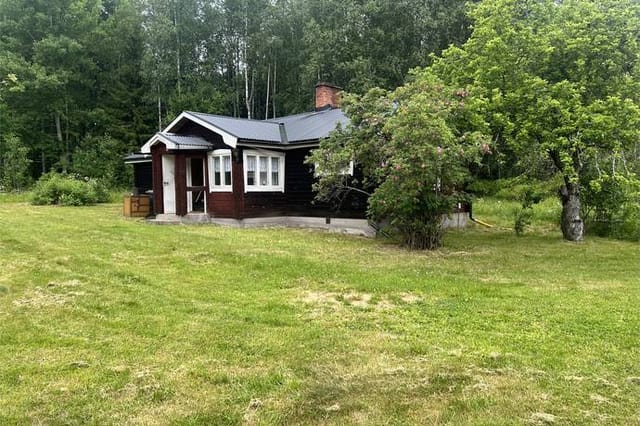Front view of the house and garden