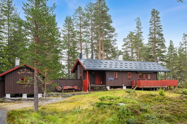 Welcome to Sandvassvegen 169