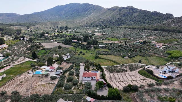 Front view of the villa and garden