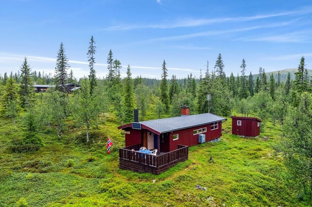 Welcome to Bittermarkvegen 1785 - well-maintained family cabin in beautiful Bittermarka.