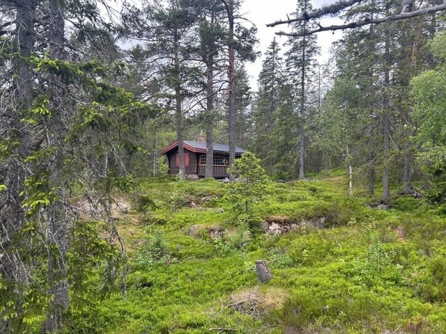 Picture 1