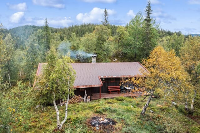 Welcome to Borsævegen 487, a cozy cabin in fantastic surroundings