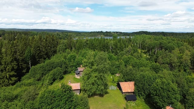 Main house and grounds