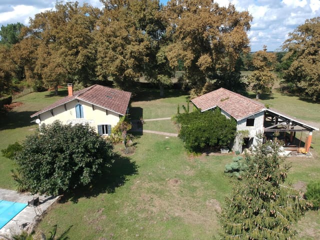 Picture 1