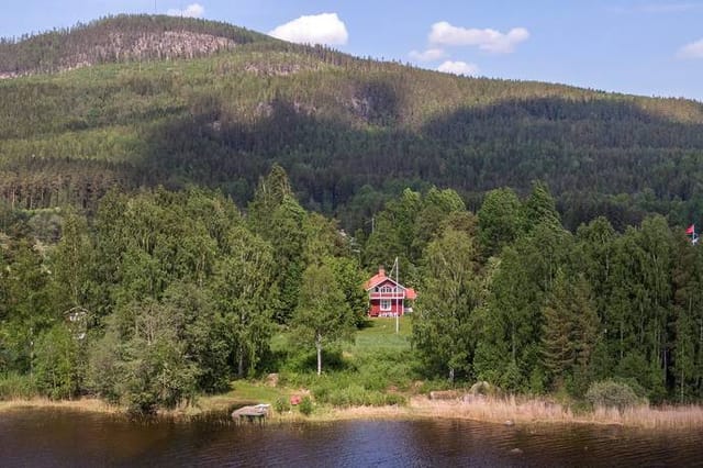 4 room vacation home in Borgsjöbyn