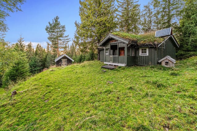 Charming log cabin located on a hill in forest terrain