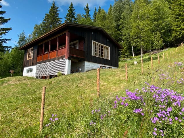 The cabin from surrounding cultivated land