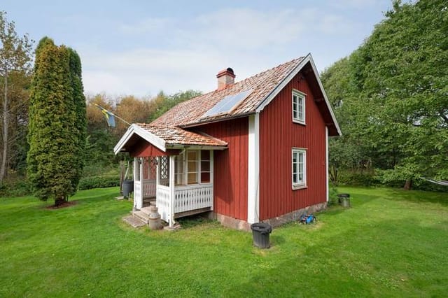 Front view of the cottage and garden