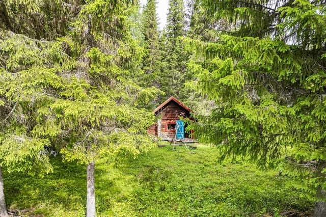Exterior view of the log cabin and surrounding nature