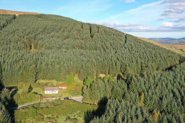Front view of the cottage and grounds