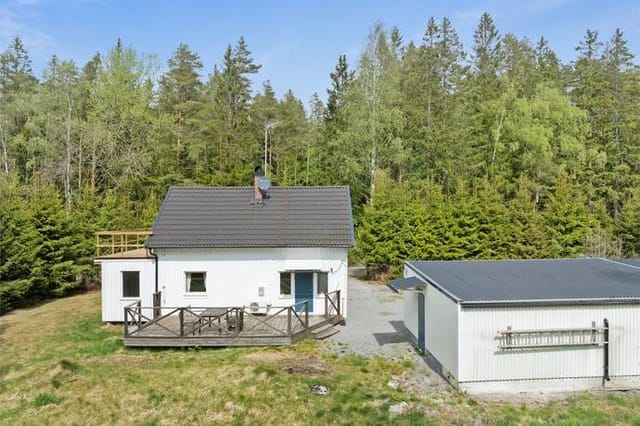 Front view of the house and garden