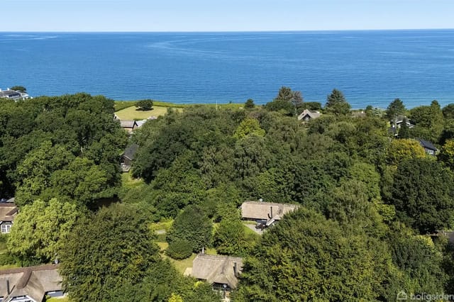 Houses scattered among dense trees and bushes, with a deep blue sea view in the background under a clear blue sky.