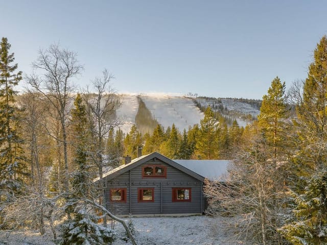 Exterior view of the cabin