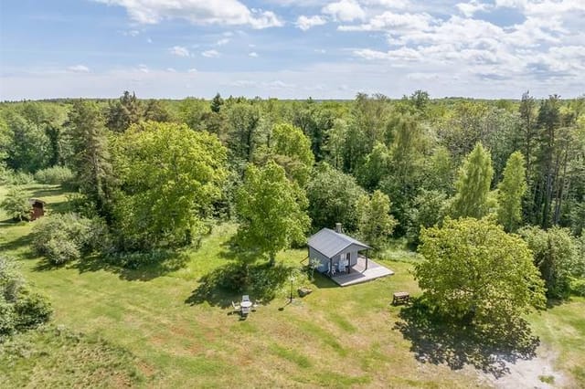 Exterior view of the summer cottage and garden