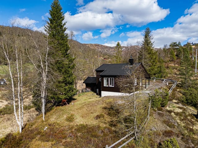 Idyllic Høyseter - Beautiful and secluded cabin