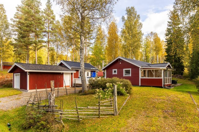 Front view of the house and garden