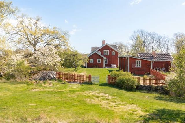 Main house and garden