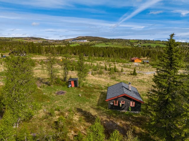Privatmegleren Hallingdal presents Einarsetlie 25