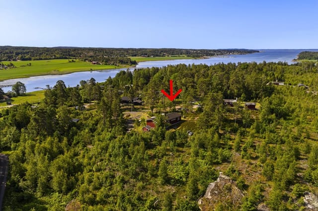Dream cabin one hour from Oslo - Perfect for relaxation and nature experiences