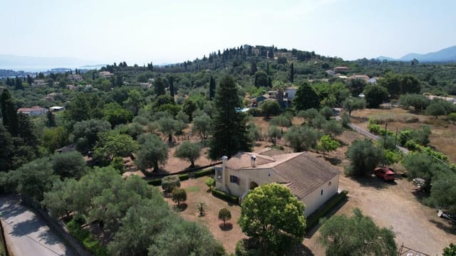 Picture 1
