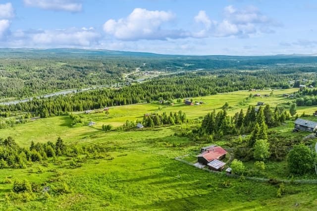 Welcome to Brattstølvegen 119!