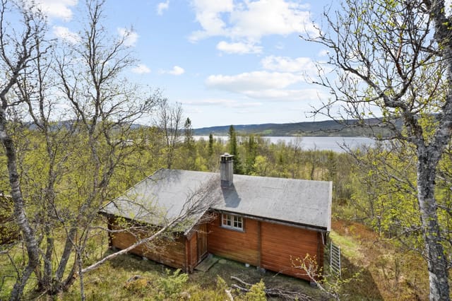 Welcome to Stugudalsvegen 1922, a charming and beautiful cabin in stunning surroundings.