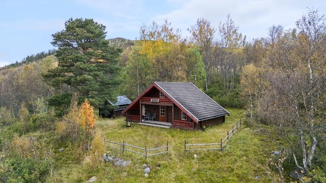 Welcome to Siksjølia 524.