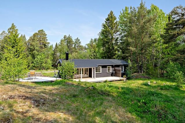 Front view of the house and garden