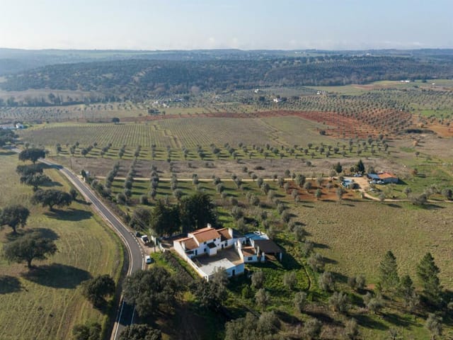 Traditional Alentejo Small Farm with Pool, Avis