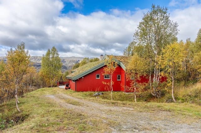 Welcome to Tyrveli 1 – A spacious family cabin with a superb location at about 860 meters above sea level, right next to the Vågslid ski resort.