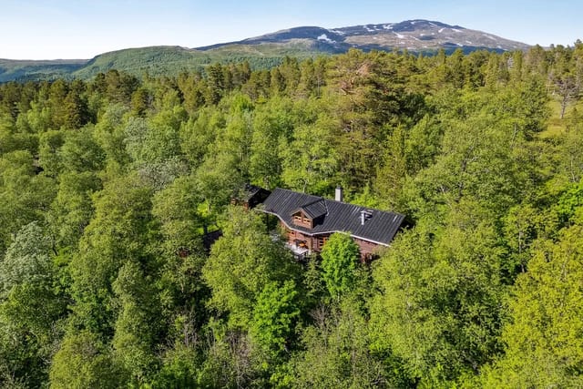 Drone view of the property