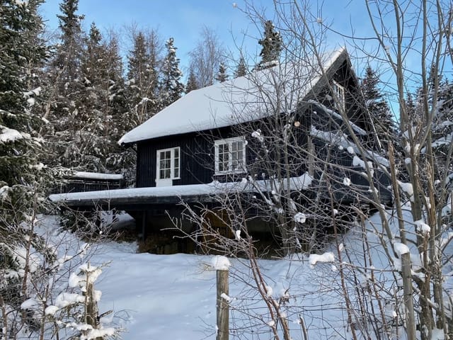 Cozy cabin with high and nice location.