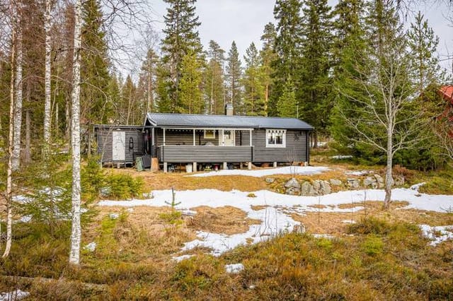 Cottage with lake view